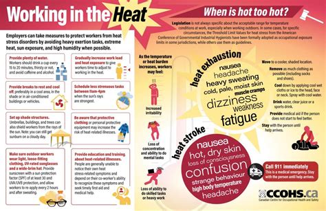 How to manage heat stress in the workplace | Workplace Safety North