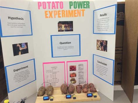 Potato Powered Light Bulb Science Fair Project | Ruivadelow