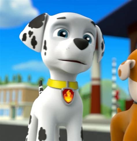 Marshall, the Dalmatian - PAW Patrol Photo (40125817) - Fanpop