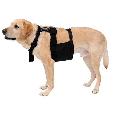 Best Glacier Tek Cooling Vest For Dog - Life Maker