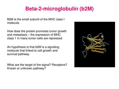 PPT - BioMarker PowerPoint Presentation - ID:1302075