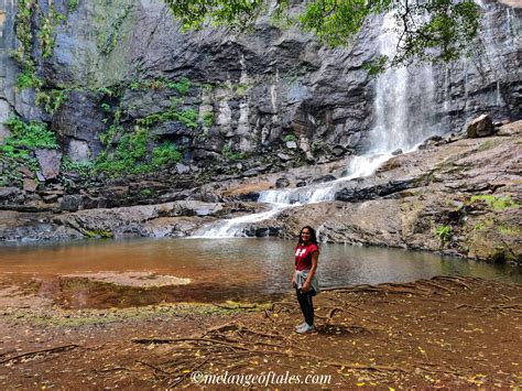 Kookal – A Day in the Palani Hills - Melange of Tales