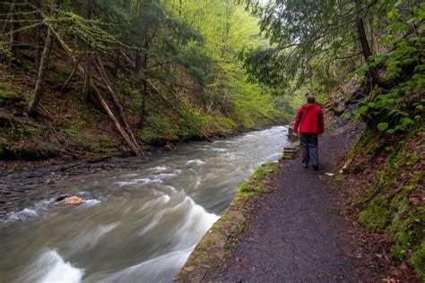 Hiking to the Waterfalls in Fillmore Glen State Park - Uncovering New York