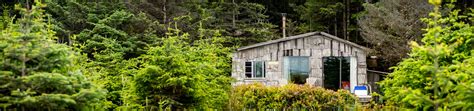 Haida Gwaii Beach Cabins | Love Northern BC