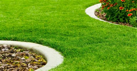 How-to: Green-up Your Lawn this Spring