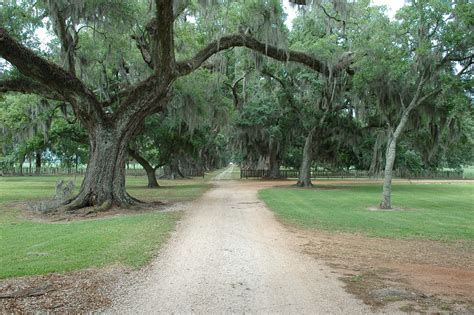 Evergreen Plantation-7932 | Alley Leading to the slave quart… | Flickr