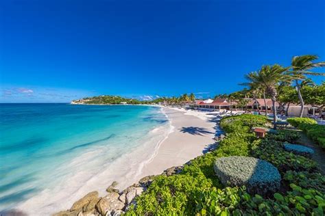 Pineapple Beach Club Antigua - All Inclusive - UPDATED 2019 Prices, Reviews & Photos (Willikies ...