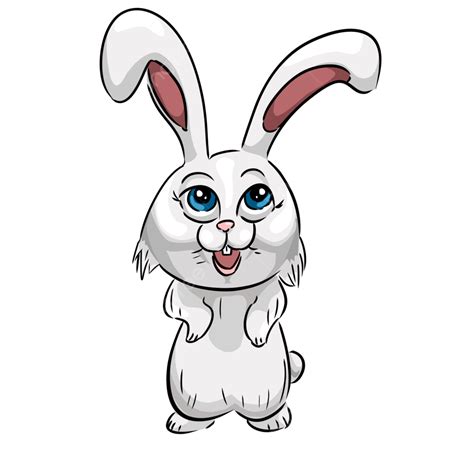 Rabbit Cartoon