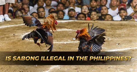 Is Sabong Illegal in the Philippines? 2024 Update