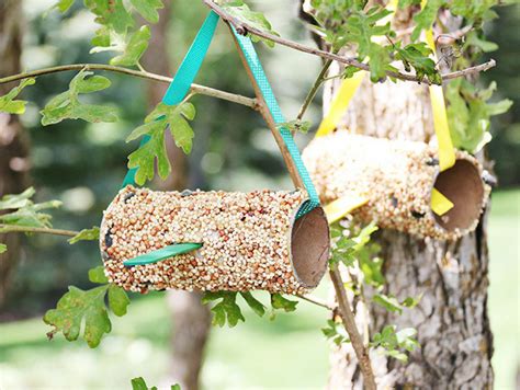 DIY Bird Feeder | Fun365