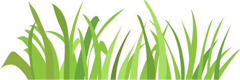 Grass png graphic clipart design 19152642 PNG