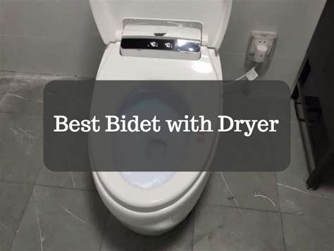 6 Best Bidets with a Dryer for 2023 - Homelization