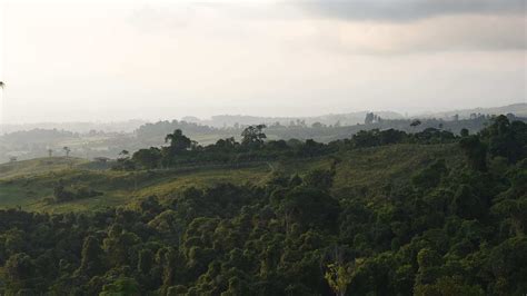 Hacienda AltaGracia, a Luxury Auberge Resort in Costa Rica