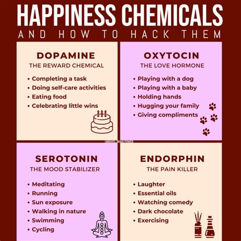 Happiness Chemicals: A Guide to Boosting Your Mood