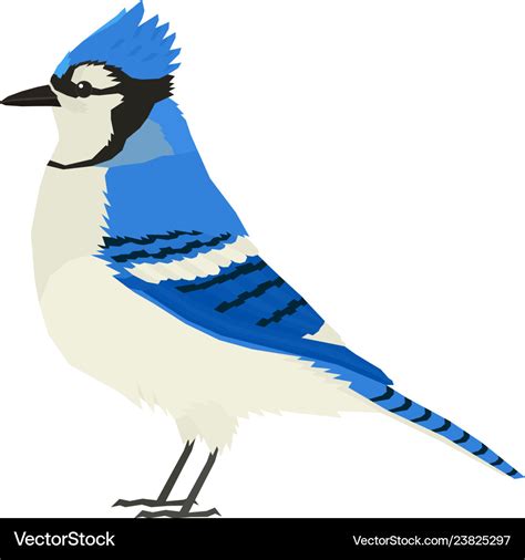 Blue jay bird wildlife isolated object Royalty Free Vector