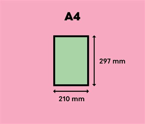 The Ultimate Guide to Flyer Sizes | EdrawMax