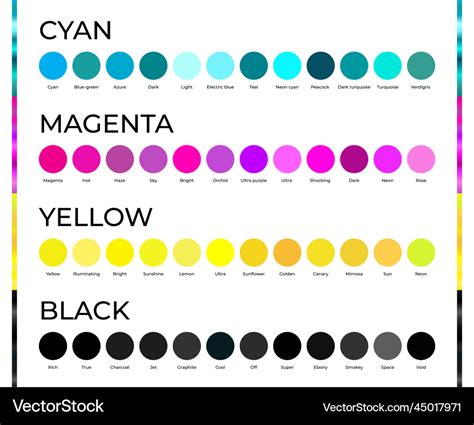 Round cyan magenta yellow and black cmyk color Vector Image