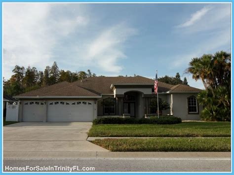 Homes for Sale in Trinity Florida