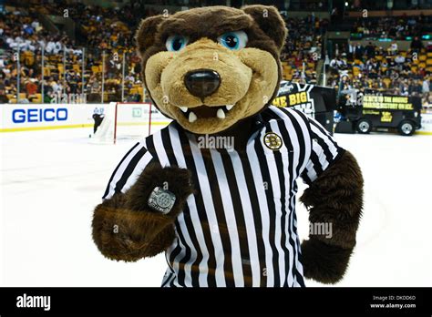 Nov. 10, 2011 - Boston, Massachusetts, U.S - Boston Bruins mascot Stock ...