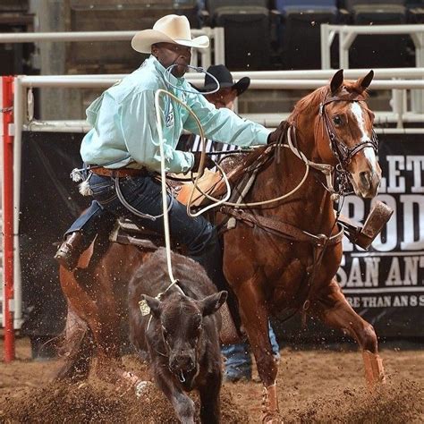 Fred Whitfield Leading Calf Roping at San Antonio Rodeo