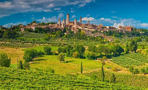 Best Private Wine Tours In Tuscany