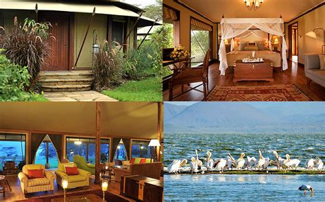 Lake Elementaita Serena Camp | Soysambu Wildlife Conservancy along ...