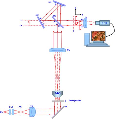 Un-polarized light transmission DIC microscope | SpringerLink