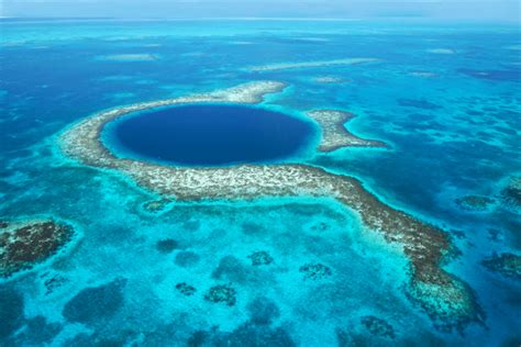 The Mesoamerican Barrier Reef | Island Life Mexico