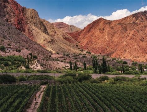 Guide to the wine regions of Argentina - South America Wine Guide