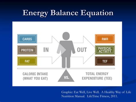 PPT - Nutrition Interventions in the Treatment of Obesity PowerPoint Presentation - ID:6643718