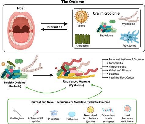 The oralome and its dysbiosis: New insights into oral microbiome-host interactions ...