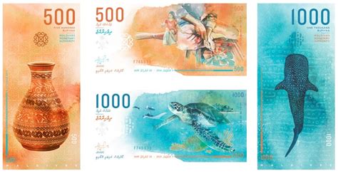 The currency in Maldives: cash, credit cards, exchange rate