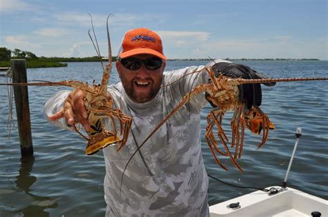 Your 2023 Guide to Lobster Season in the Keys