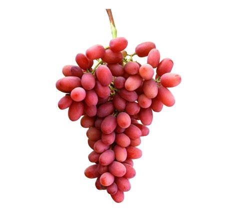 Crimson Seedless Grapes – Alex farm