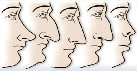 These five genes code your nose's shape, among other things