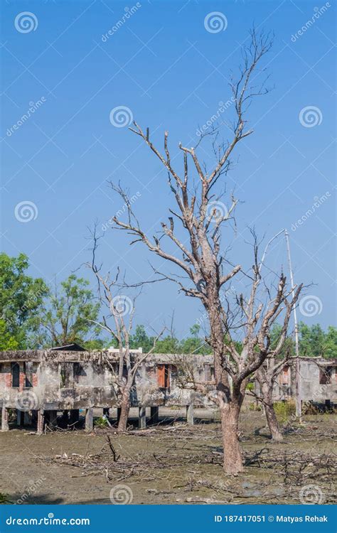 Abandoned Buildings at Hiron Point in Sundarbans, Banglades Stock Image - Image of community ...