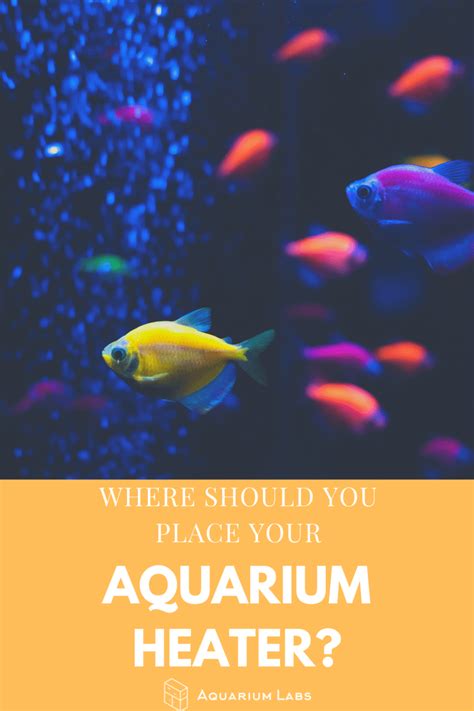 Where to Place Aquarium Heaters [Heater Placement & More]