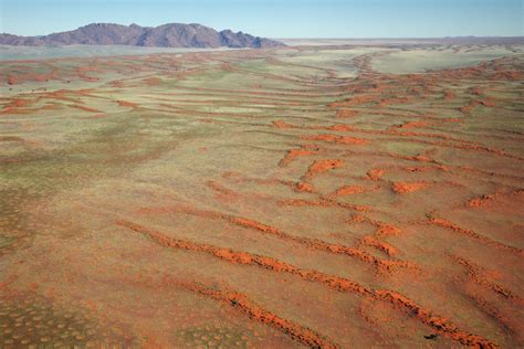 Namib Naukluft National Park - Reef and Rainforest Tours