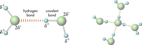 How Do Two Water Molecules Bond Together - This bond is very weak ...