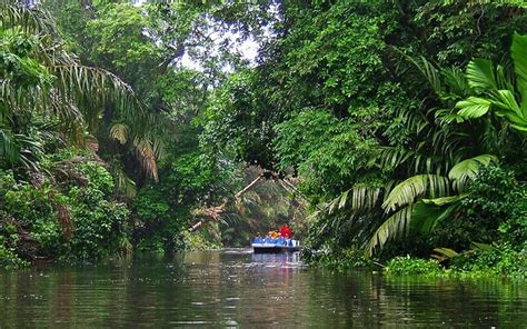 Tortuguero National Park | Trip Ways