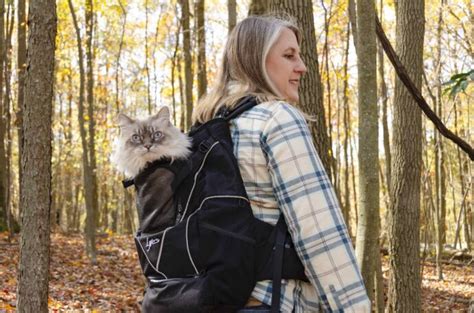 Check out the backpack designed for true adventure cats – Adventure Cats