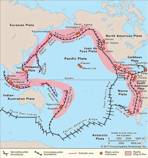 The postioning of tectonic plates relative to the Pacific Ring of Fire | Plate tectonics ...