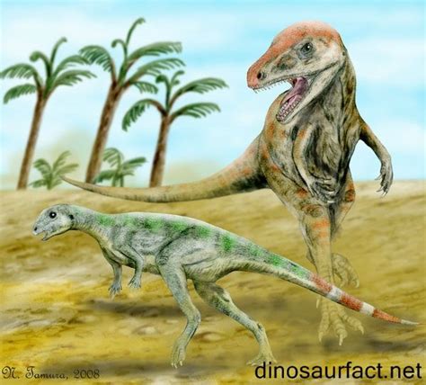 Pisanosaurus dinosaur | Dinosaur, Prehistoric, Animals