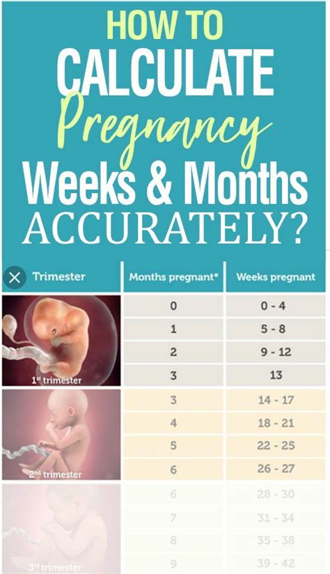 Pin on Baby checklist