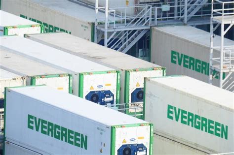 All there is to know about shipping with reefer containers | Bloom Group S.A.