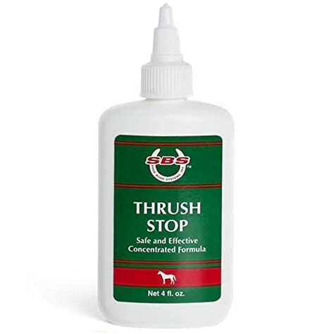 The 10 Best Treatment For Thrush In Horses In 2023 - Top Picks & Recommended