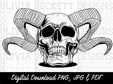 Skull With Horns, Hand Drawn Illustration, Ram Horns, Skeleton, Png ...