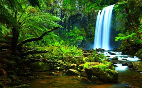 Rainforest Waterfall Wallpapers - Top Free Rainforest Waterfall ...