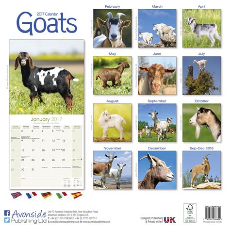 Goats Calendar 2017 | Animals | Farm Animals