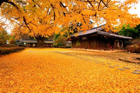 Cảnh đẹp | South korea travel, Korea tourism, Goa travel